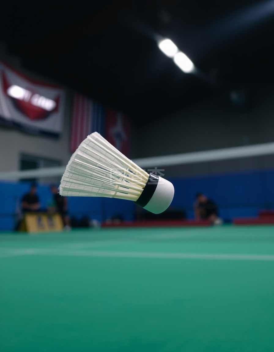 适应能力 适应能力