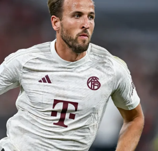 不仅是他个 不仅是他个