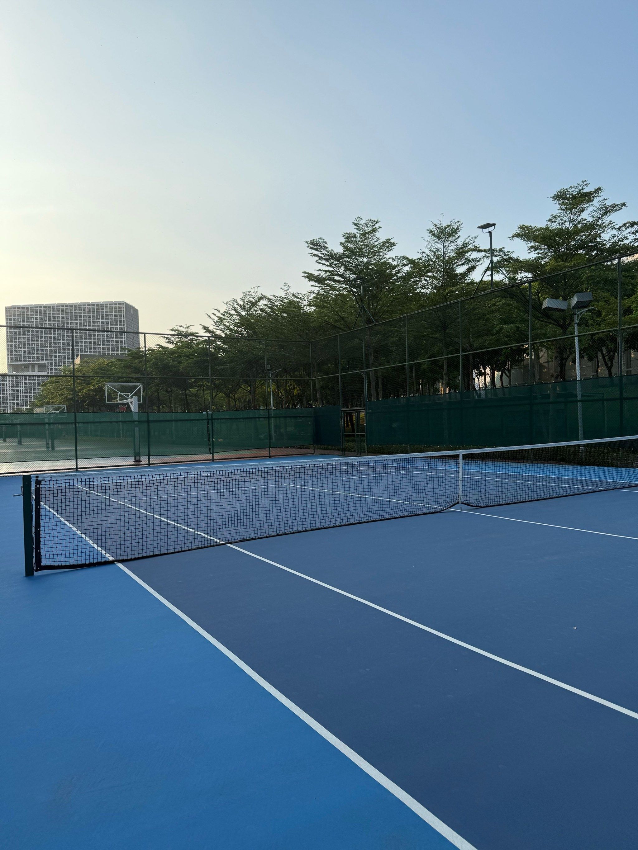 协作能力的 协作能力的